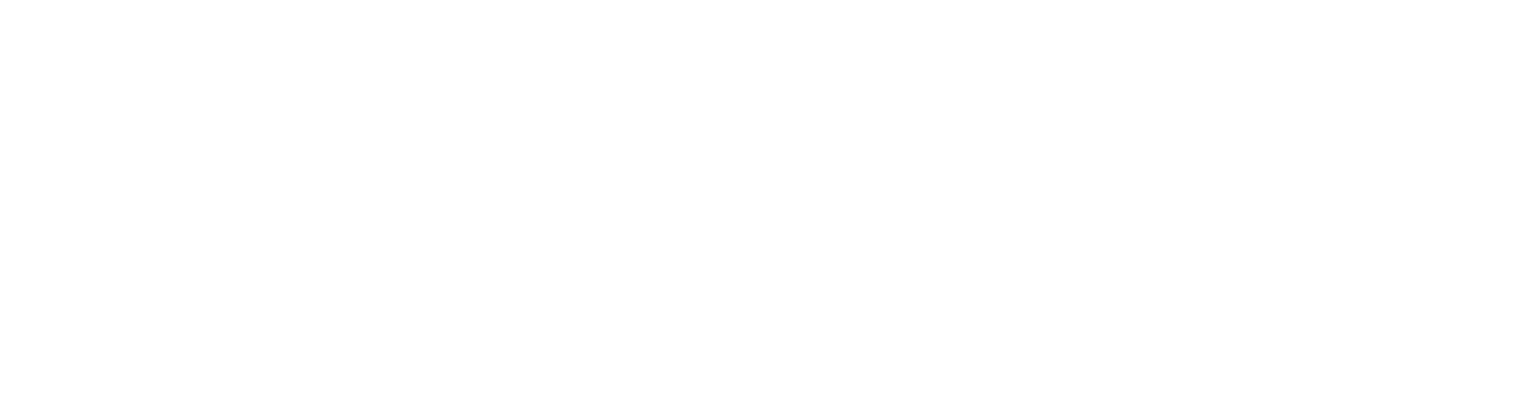 Main Logo